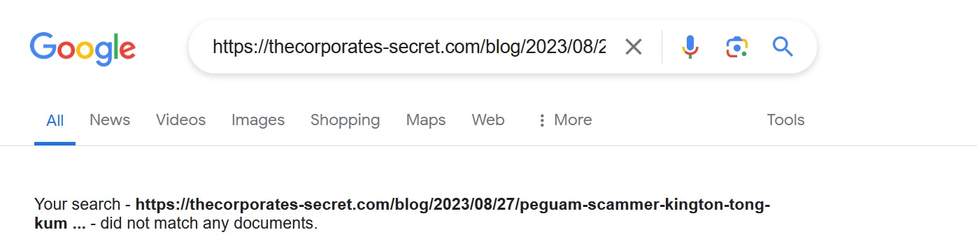Google-Screenshot